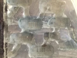 large ant nest