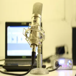 Mic stand 5/8