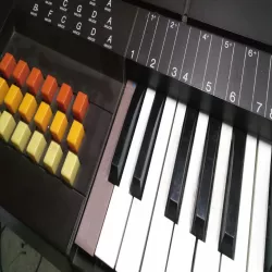 Orgue Antonelli 2550 touche
