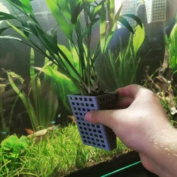Planter box for aquarium