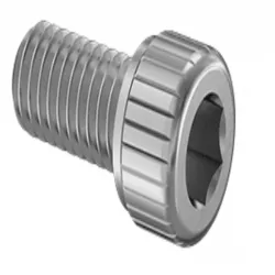 Socket Head Screw