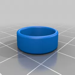 DPT100_F19_L7A1 Basic Ring (15.3 inside diameter)