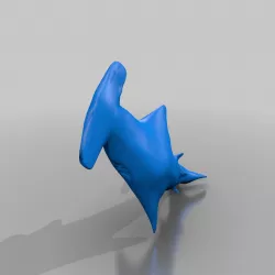 Hammerhead Shark