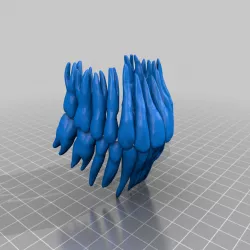 Human teeth