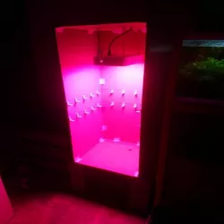Hydroponics Build