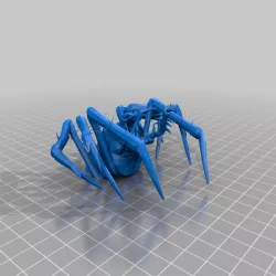 Sicilian Ear Spider - Aranea Aurisdormienti