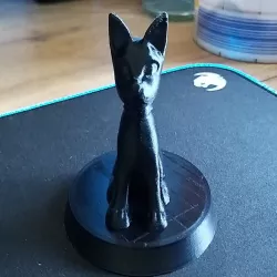 Sitting Cat