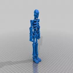 Skeleton Model