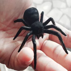 SPIDER PRINTABLE EASY