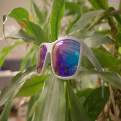 Sunglasses #2