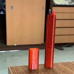 Dual BIC Pen