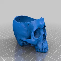 Hanging Skull Planter