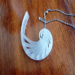 Nautilus shell