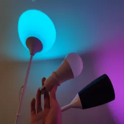 Not lamp adapter shades