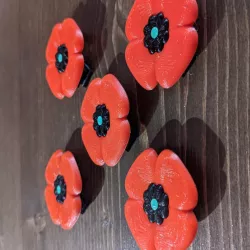 Poppy for Remembrance Day/Veterans Day
