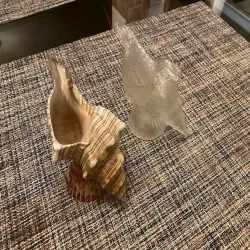 Shell planter