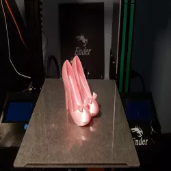 Shoe Phone Holder Remix 