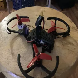 Whirlygig with prop guards and camera mount