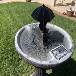 Bird Bath Umbrella