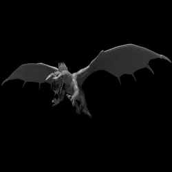 Black Dragon Flying