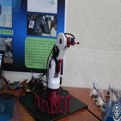 Brazo Robotico / Robotic ARM