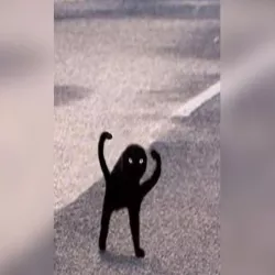 Cursed Cat Cutter