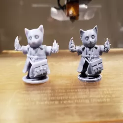 D&D Tabaxi Kitten Sorcerer Warlock