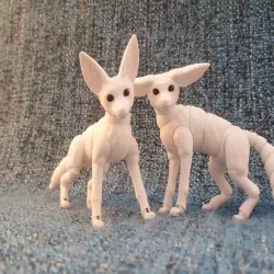 Desert Fox (BJD)