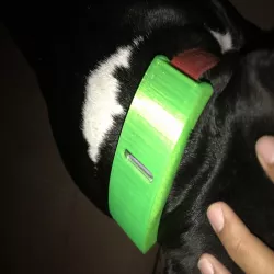 FI dog Collar mount 