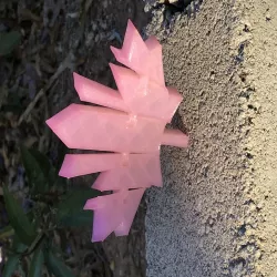 Flex maple leaf