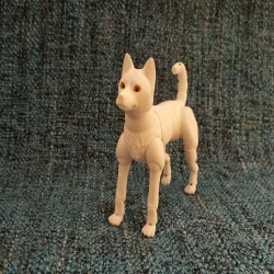 jindo dog (BJD)