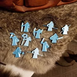 Meeple Amazons