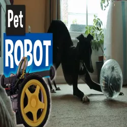 Pet Robot Ball