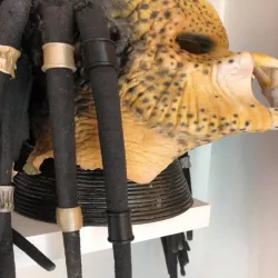 Predator dreadlock beads