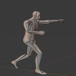 Rigged Human Male