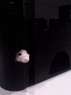 Simple Castle Hide for Small Pets
