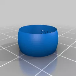 Wedding Ring Concept Model