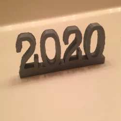 2020 Sign Year