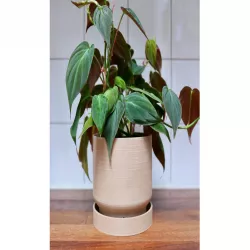 Aerating Planter