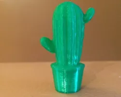 Another Scanned Cactus