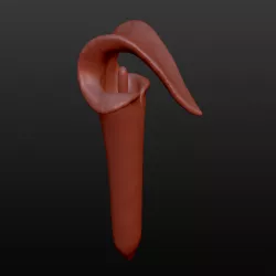 Arisaema triphyllum inflorescense