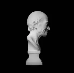 Bust of Voltaire at The Réunion des Musées Nationaux, Paris