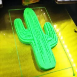 Cactus