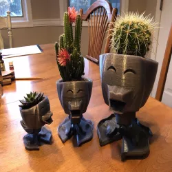 Cactus & Succulent Duck Planter