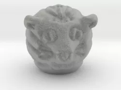 cat head