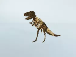 DinoPuzzle