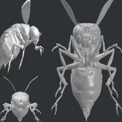 Fallout Bloatfly HD model