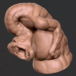 False Hydra / Dead Hand