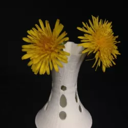 Flower Vase Twisty