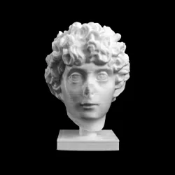 Head of a Roman Youth at The Dallas Museum of Art, Texas